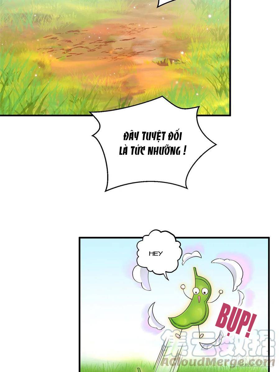 Đồ Đệ Nhà Ta Lại Quải Rồi: Chapter 315