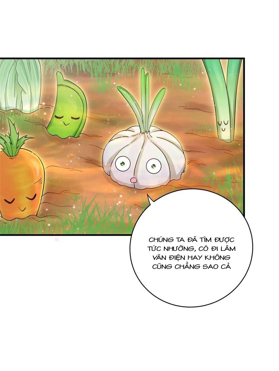 Đồ Đệ Nhà Ta Lại Quải Rồi: Chapter 315