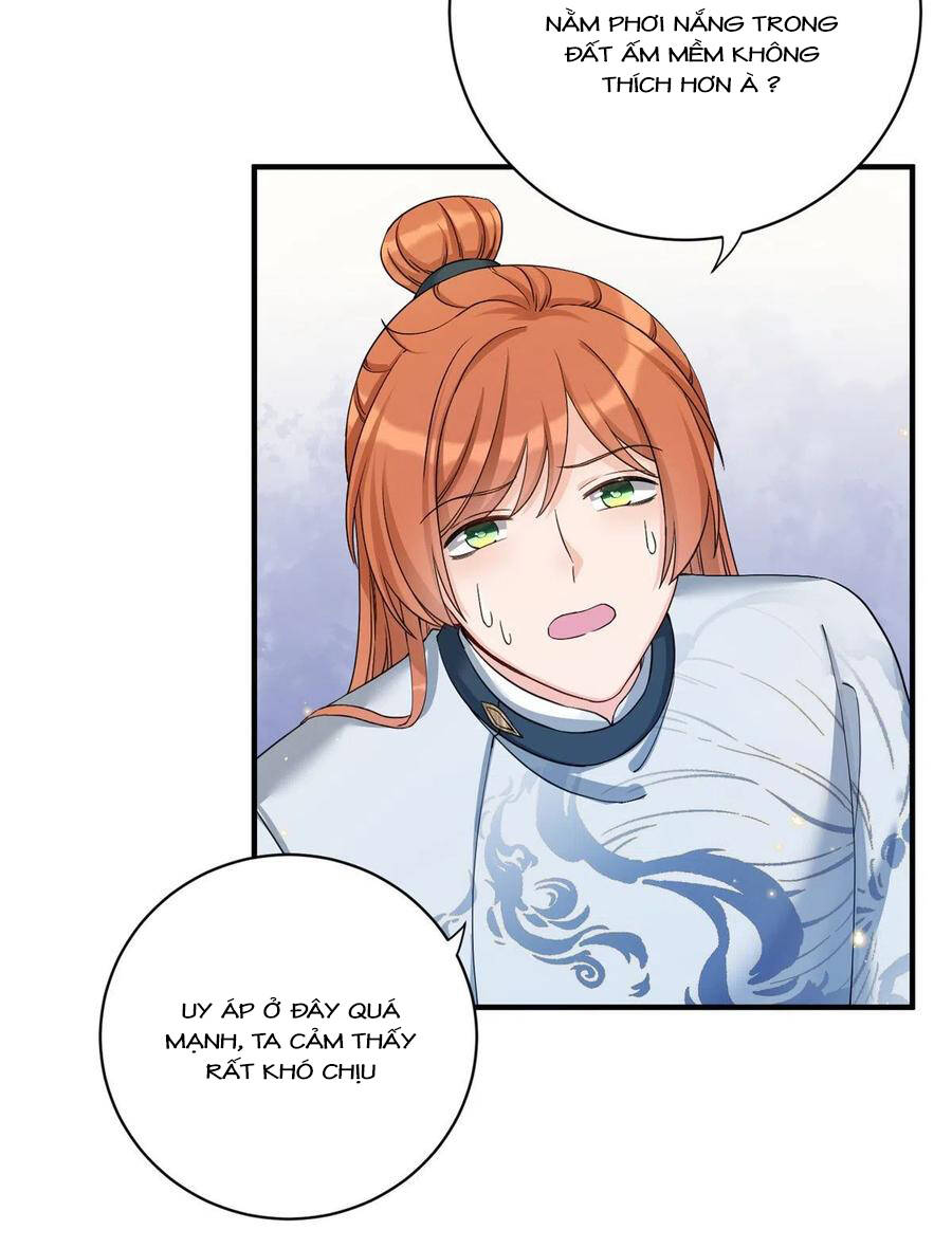 Đồ Đệ Nhà Ta Lại Quải Rồi: Chapter 316