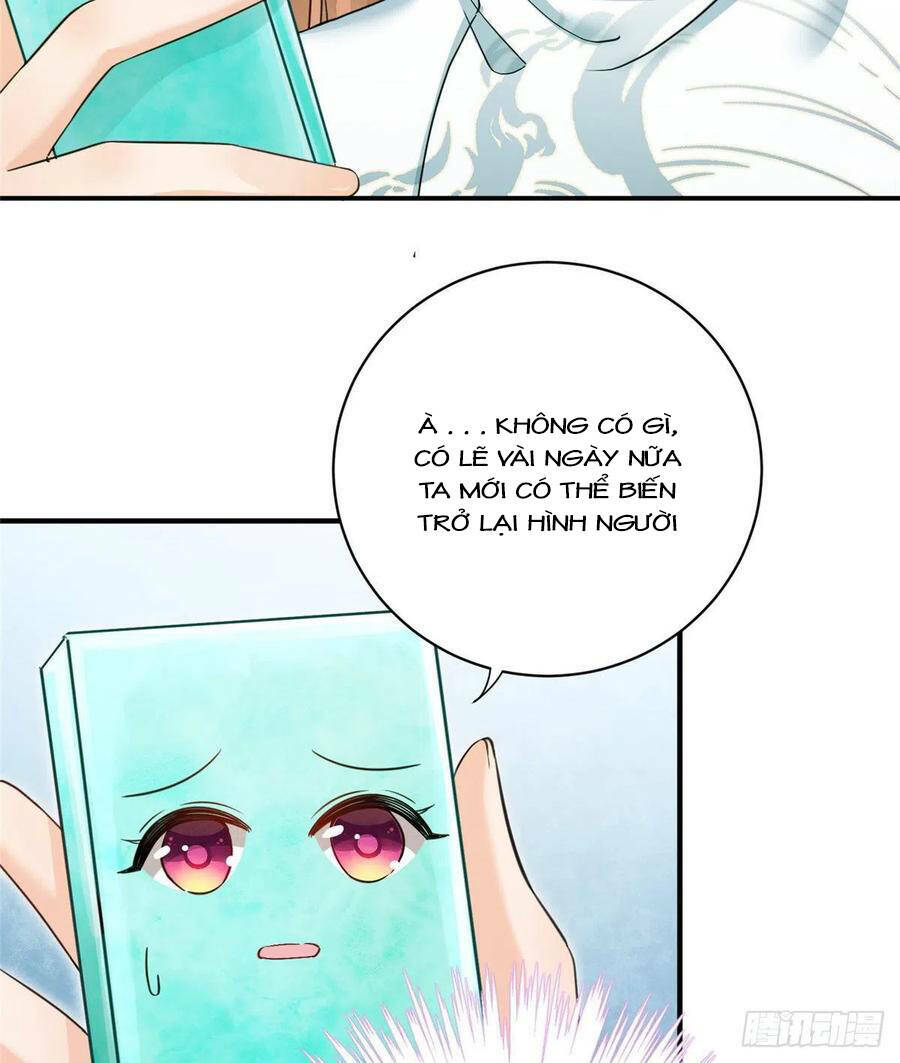 Đồ Đệ Nhà Ta Lại Quải Rồi: Chapter 324