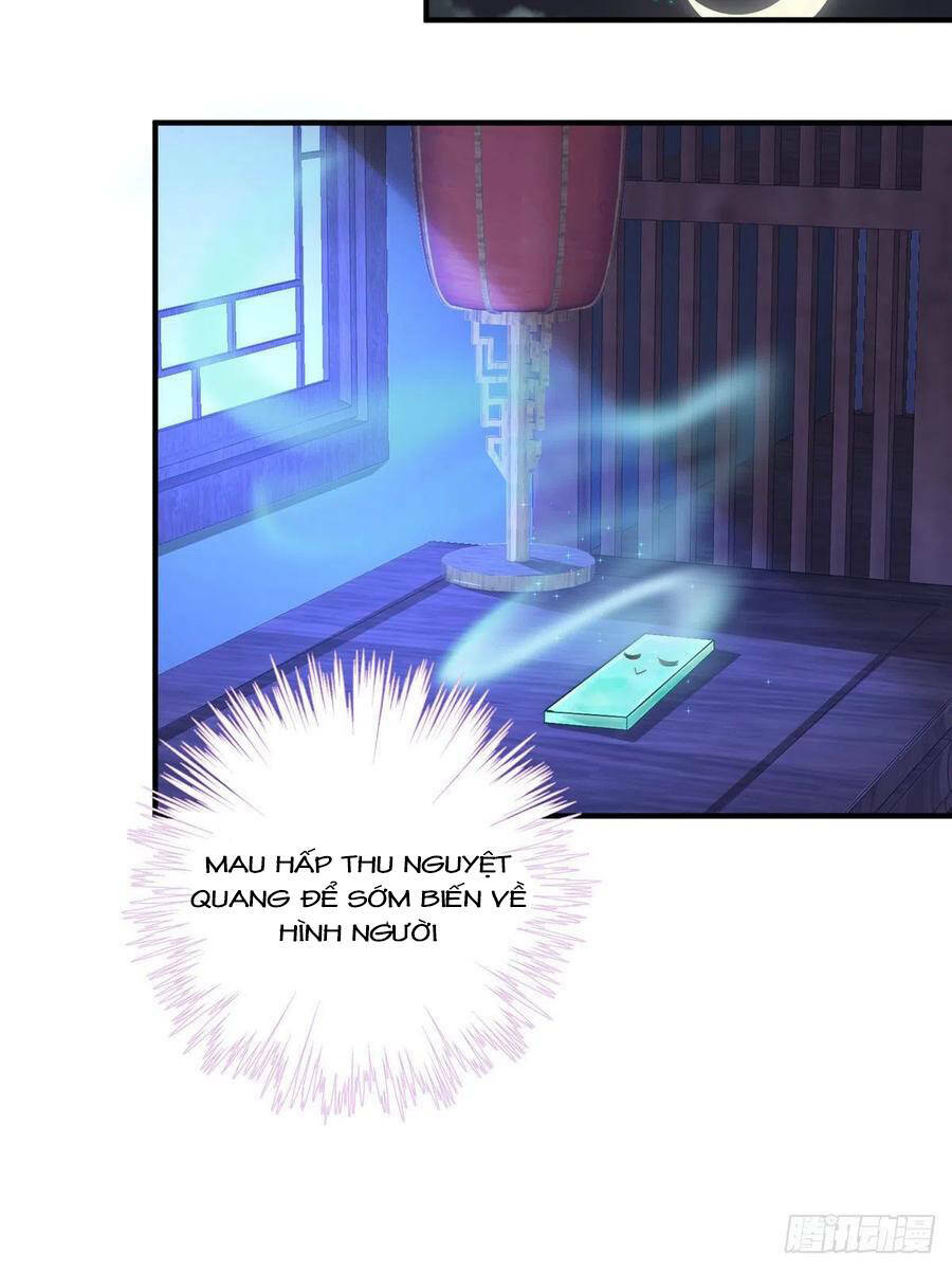 Đồ Đệ Nhà Ta Lại Quải Rồi: Chapter 324