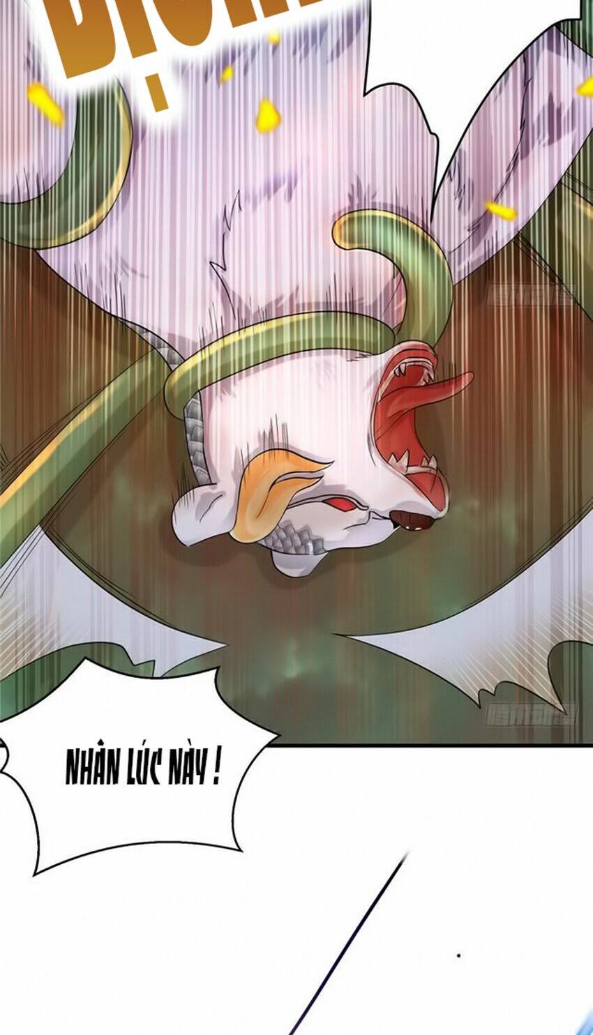 Đồ Đệ Nhà Ta Lại Quải Rồi: Chapter 62