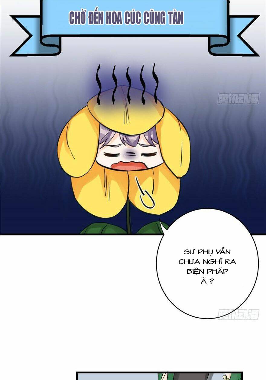 Đồ Đệ Nhà Ta Lại Quải Rồi: Chapter 72