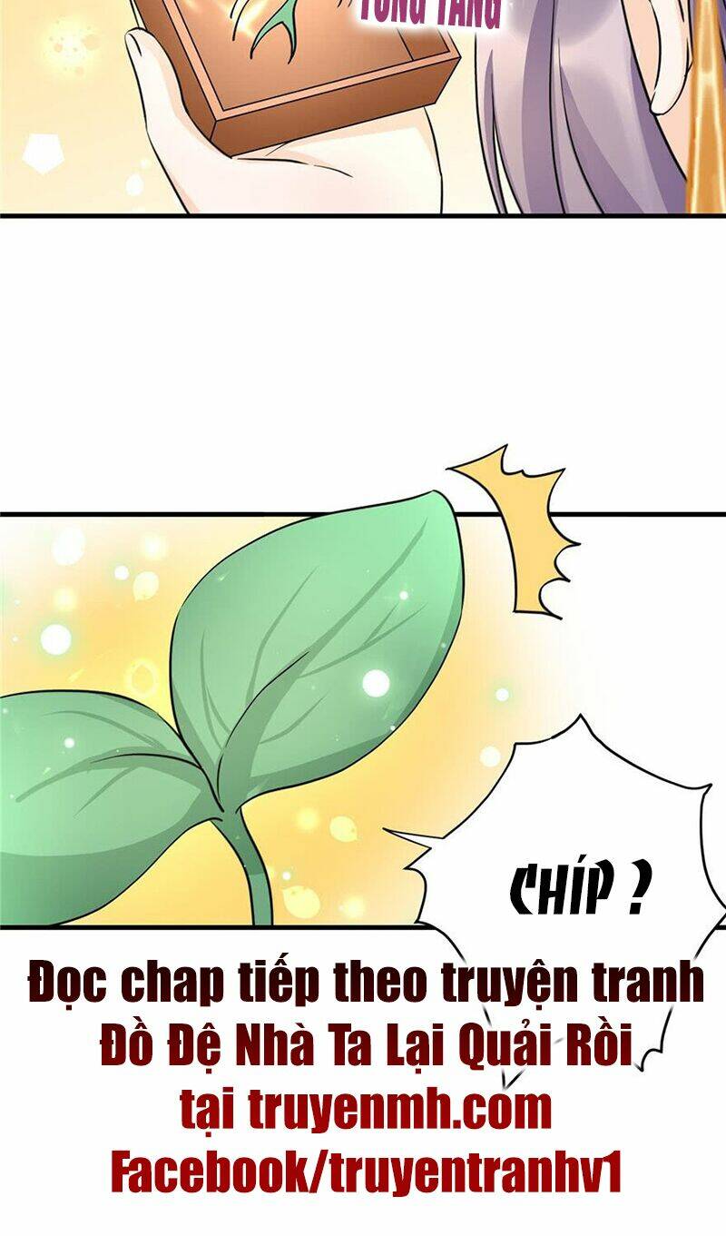 Đồ Đệ Nhà Ta Lại Quải Rồi: Chapter 74