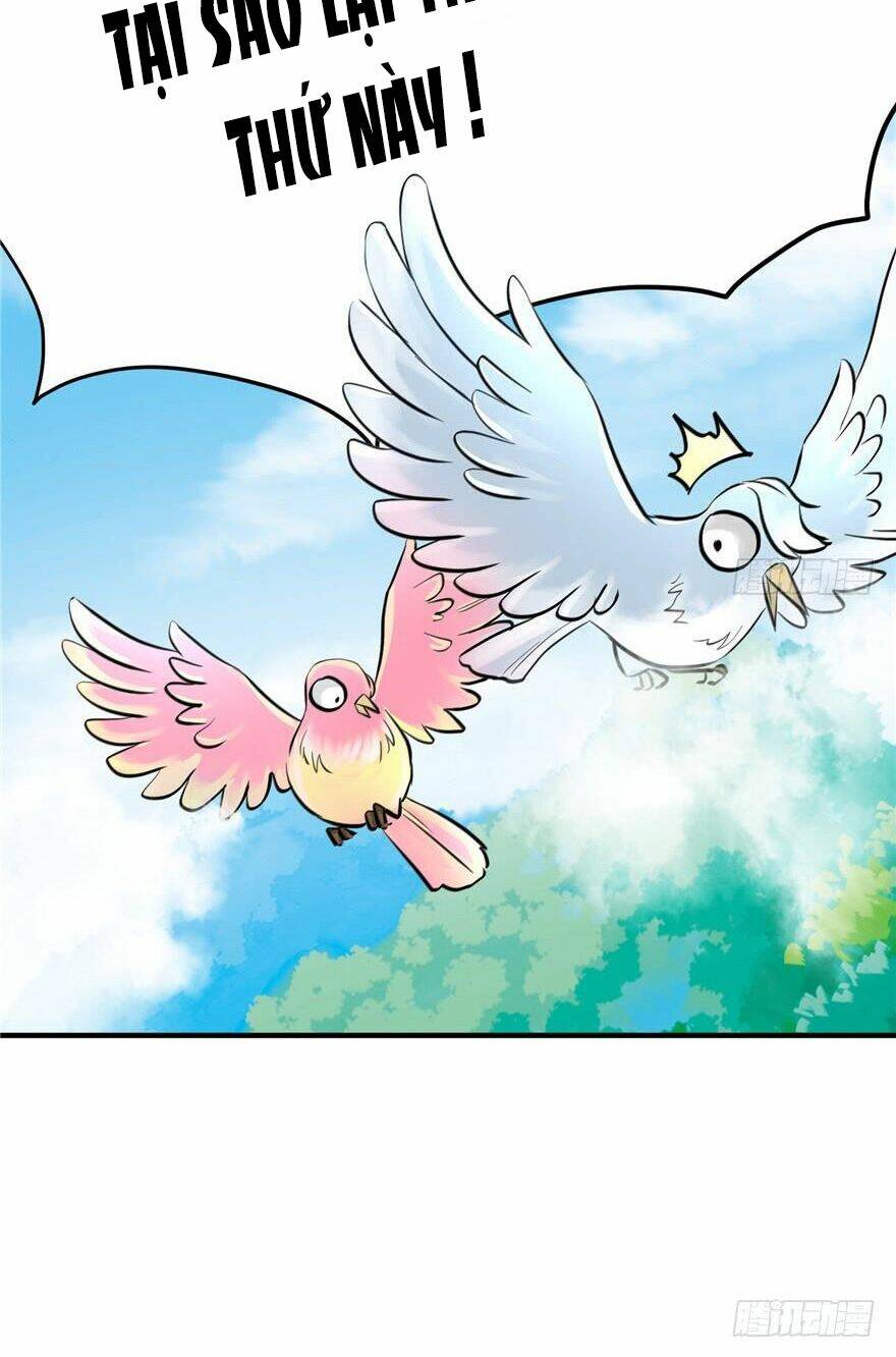 Đồ Đệ Nhà Ta Lại Quải Rồi: Chapter 79