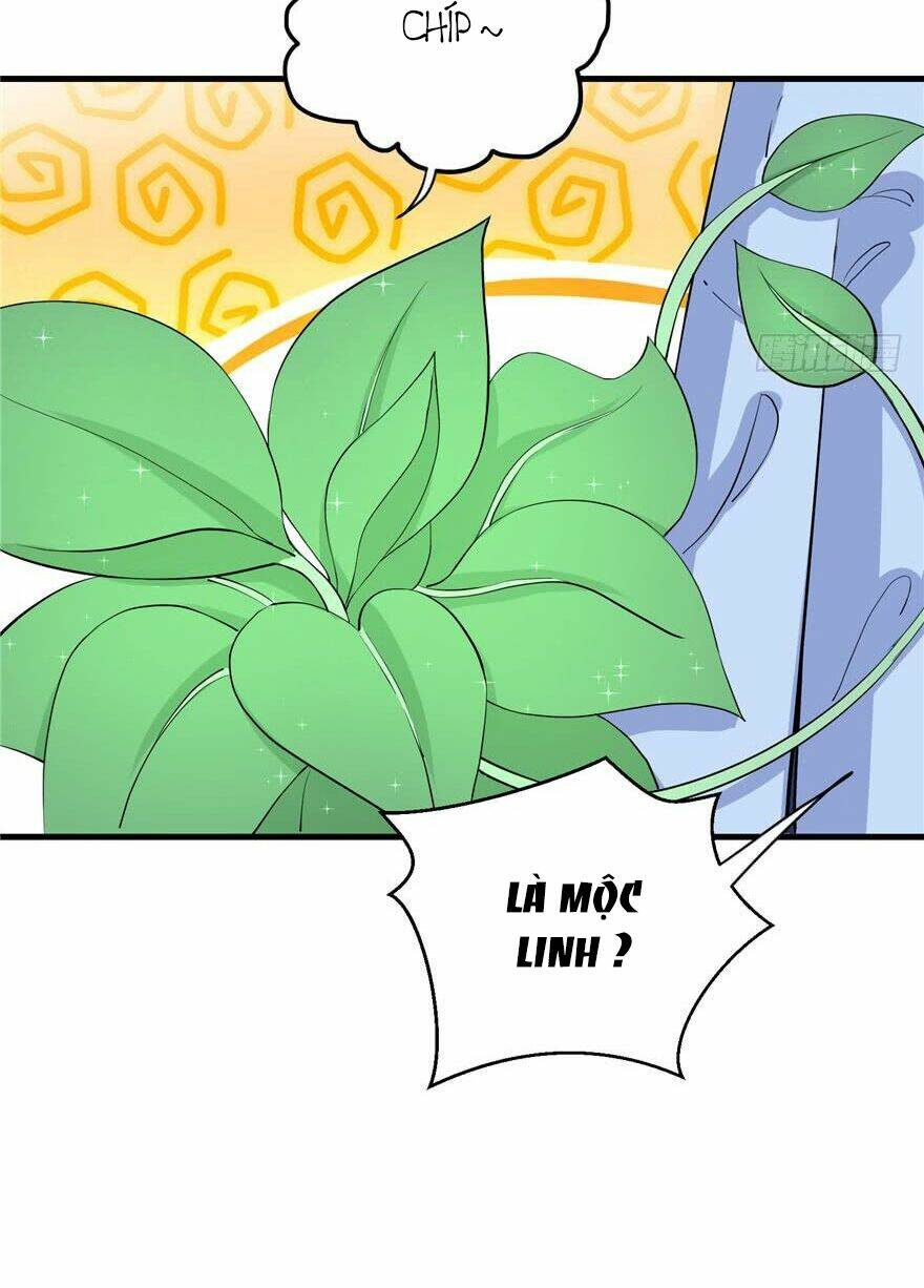 Đồ Đệ Nhà Ta Lại Quải Rồi: Chapter 80