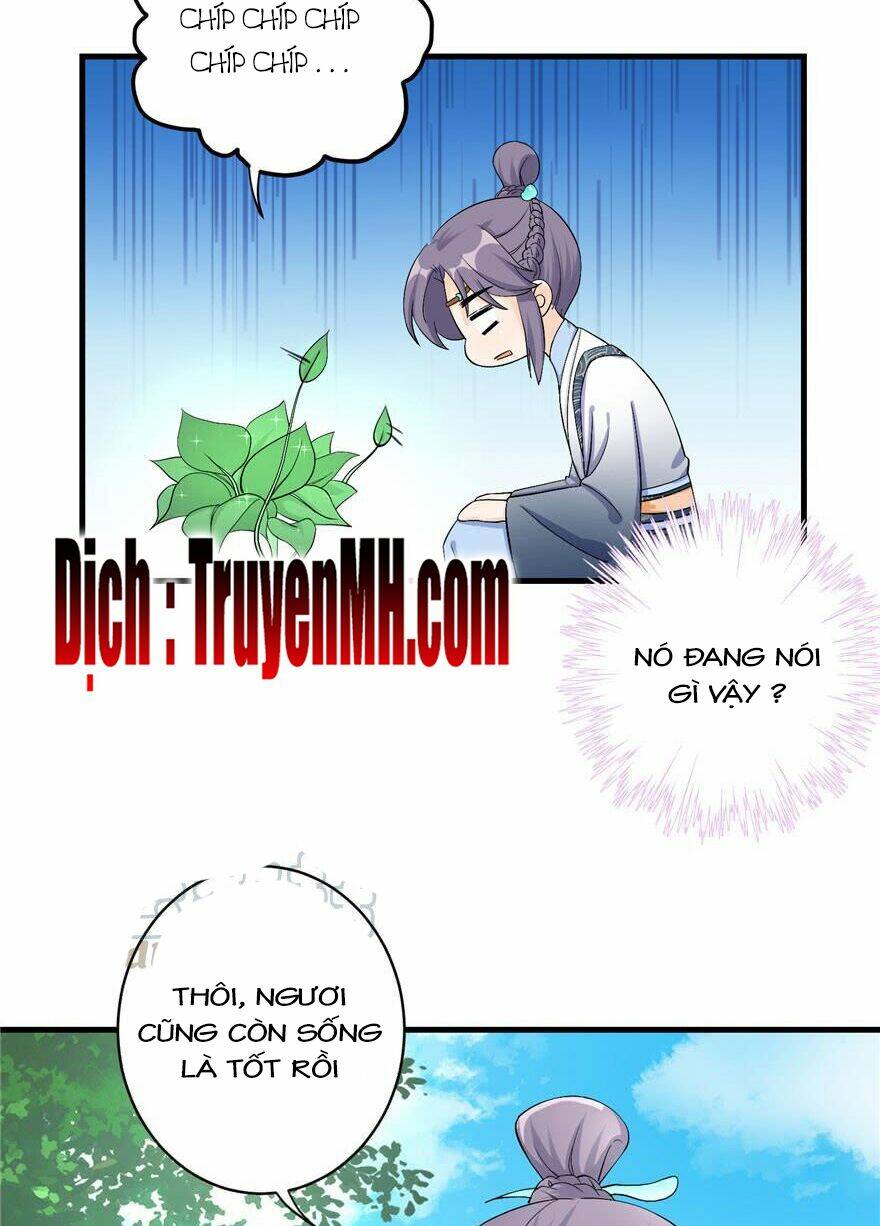Đồ Đệ Nhà Ta Lại Quải Rồi: Chapter 80