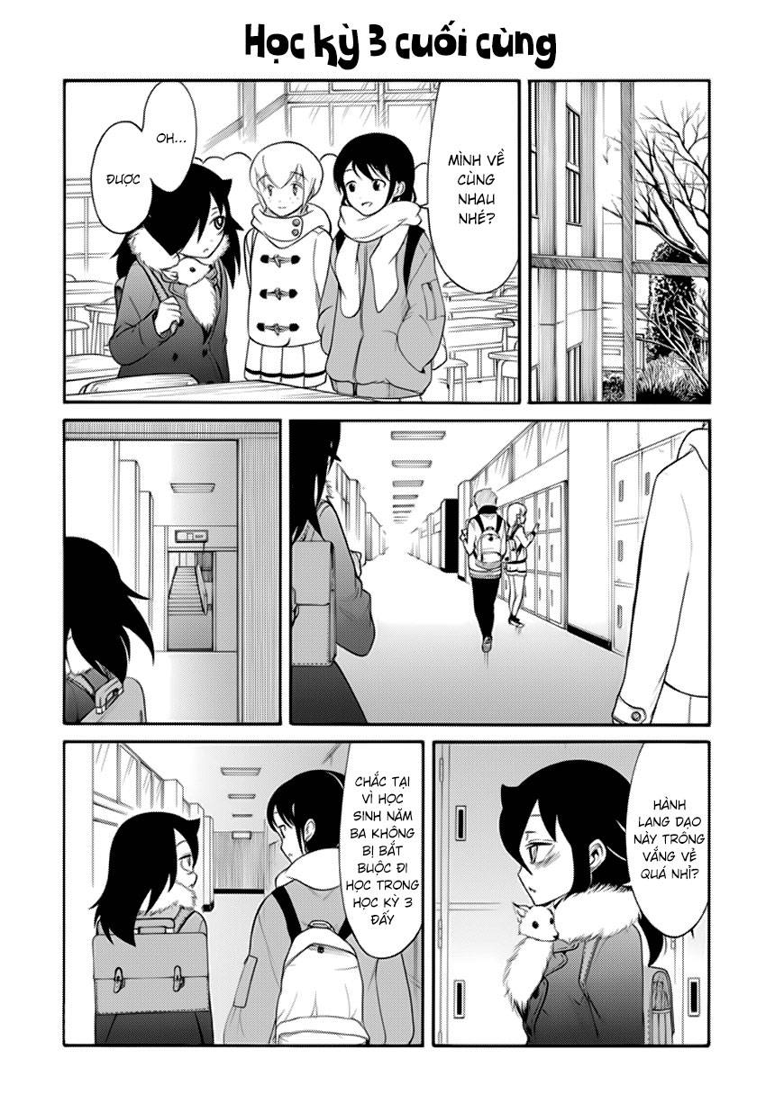 It\’s Not My Fault That I\’m Not Popular!: Chapter 106: Vì tôi không hấp dẫn, Tôi sẽ tận hưởng mùa đông cuối cùng năm cấp 3
