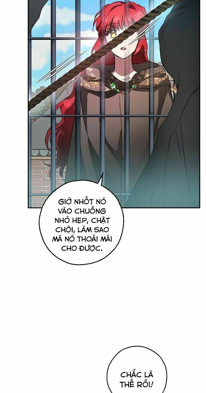 Hôn Phu Ẩn Sắc: Chapter 21