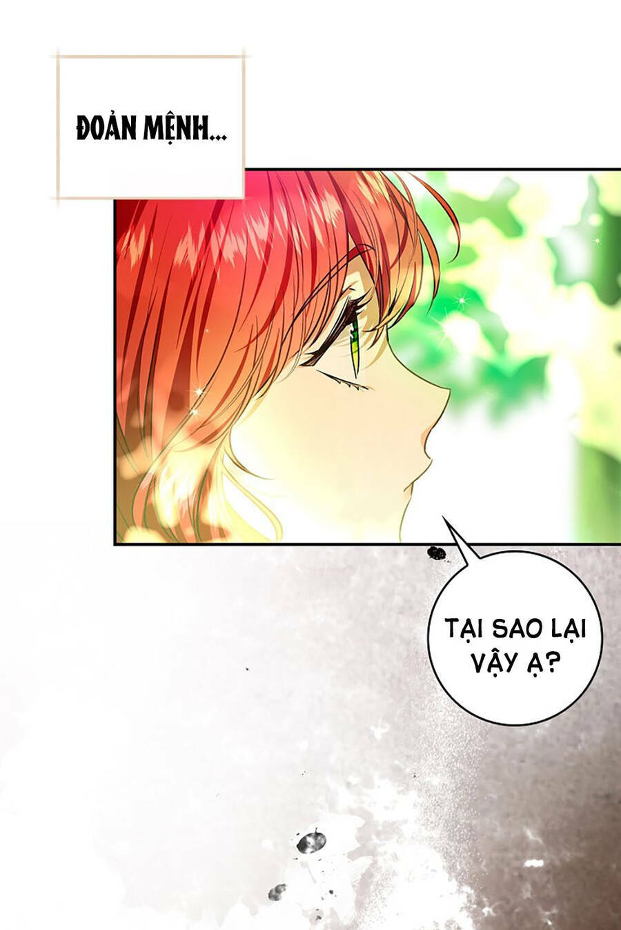 Hôn Phu Ẩn Sắc: Chapter 95.2