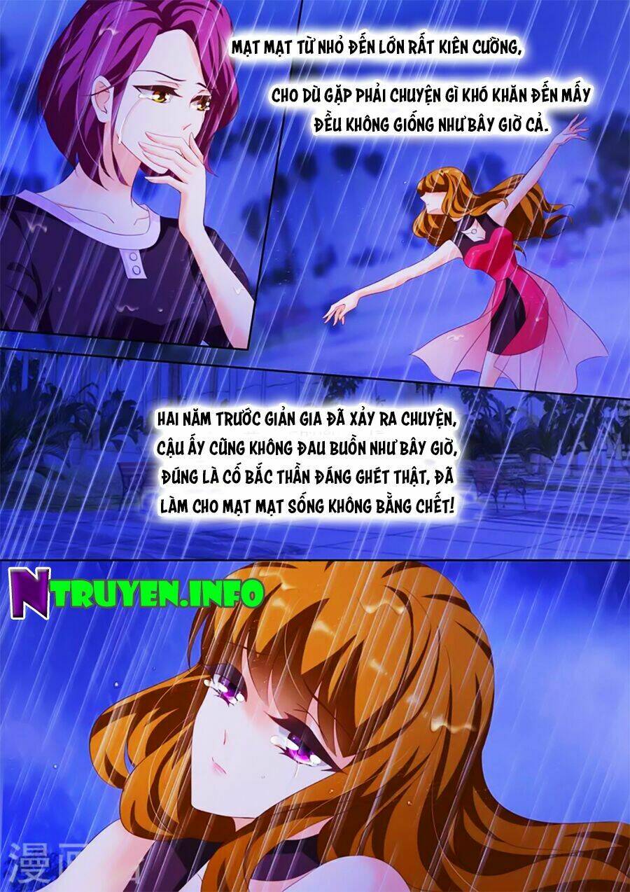 Hào Môn Thiên Giới Tiền Thê: Chapter 185