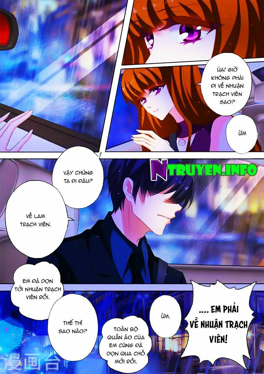Hào Môn Thiên Giới Tiền Thê: Chapter 187