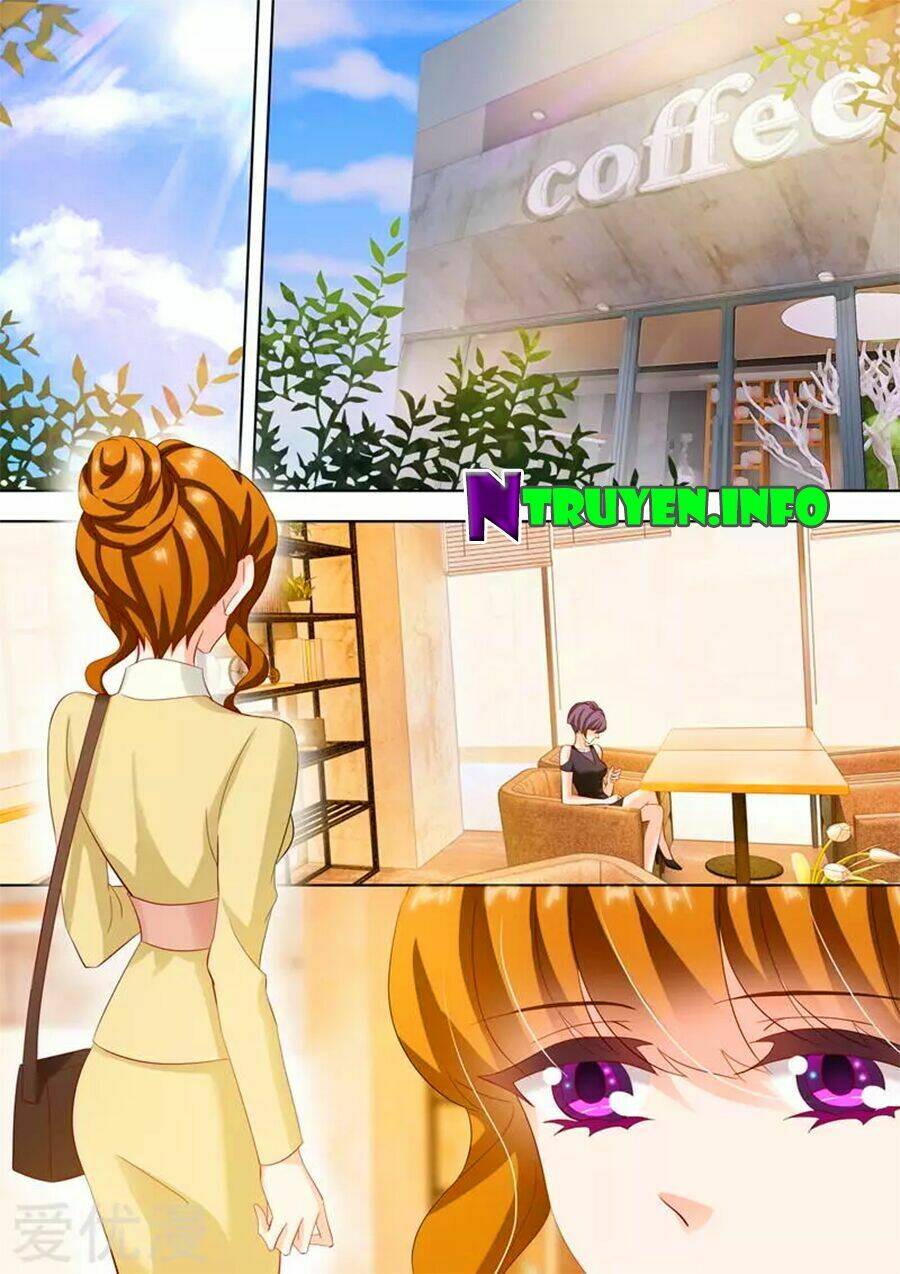 Hào Môn Thiên Giới Tiền Thê: Chapter 240