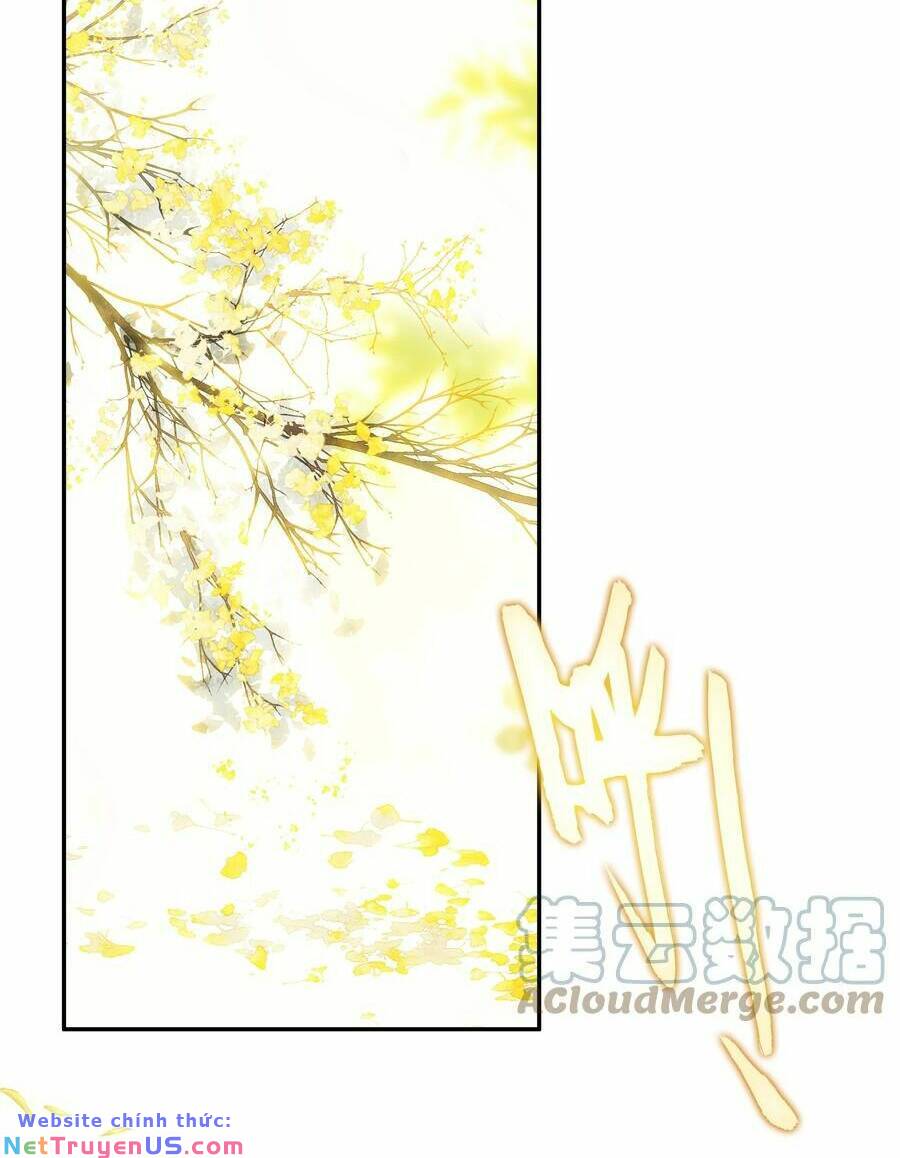 Lão Đại Xuyên Không Thành Tiên Nữ: Chapter 169