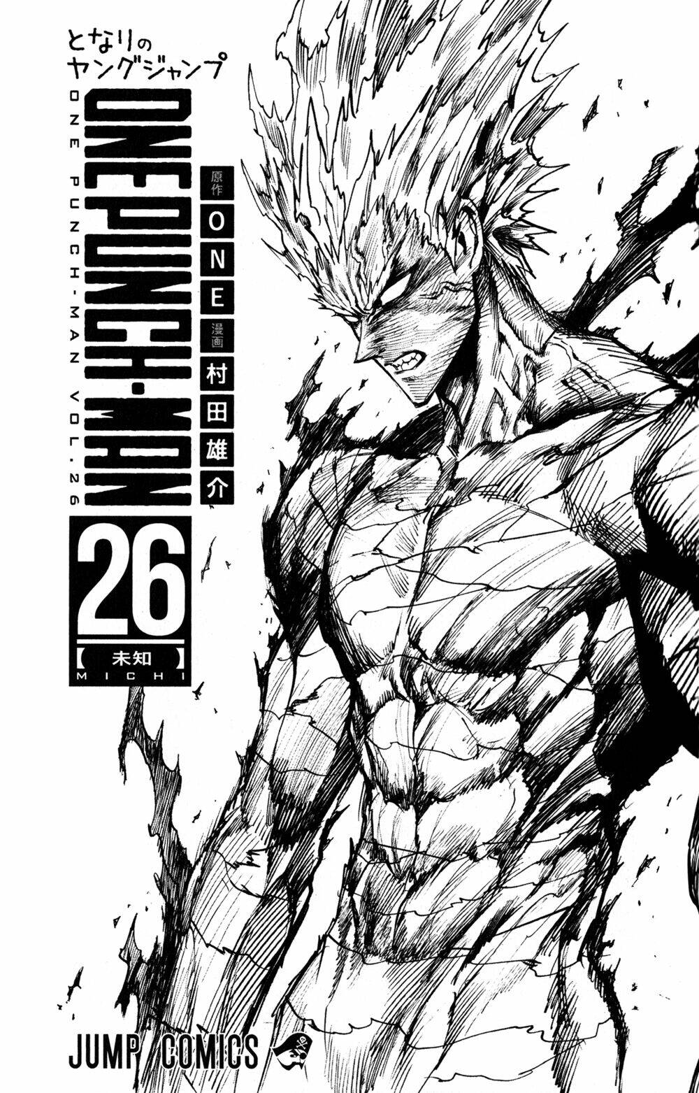 Anh Hùng OnePunch: Chapter 214.5