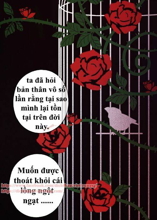 Vết Cắn Ngọt Ngào 3: Chapter 38