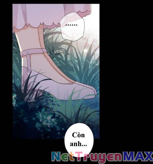 Vết Cắn Ngọt Ngào 3: Chapter 62