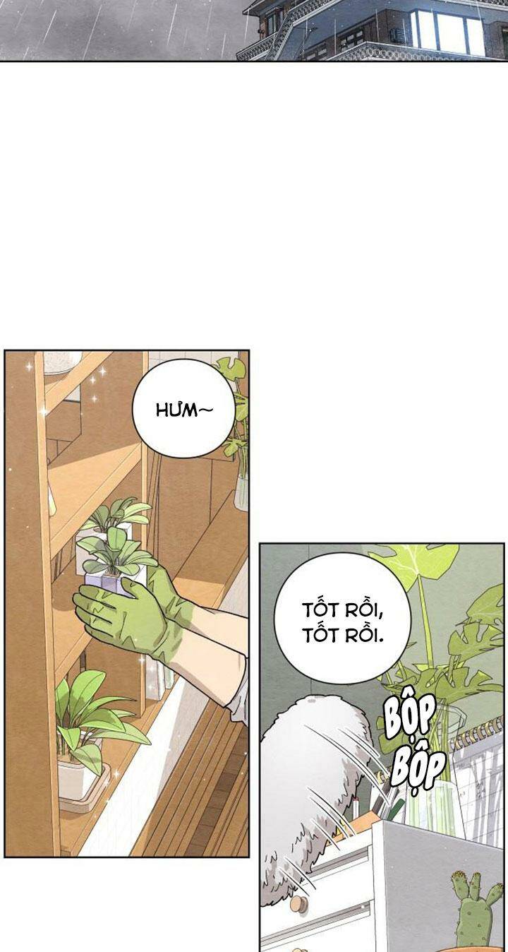 Bí Mật Thanh Xuân: Chapter 1