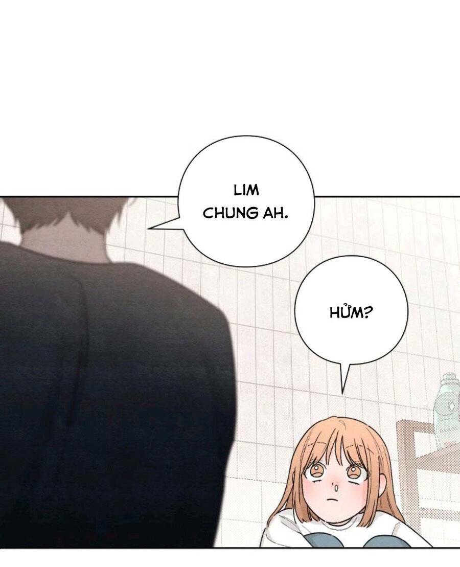 Bí Mật Thanh Xuân: Chapter 19