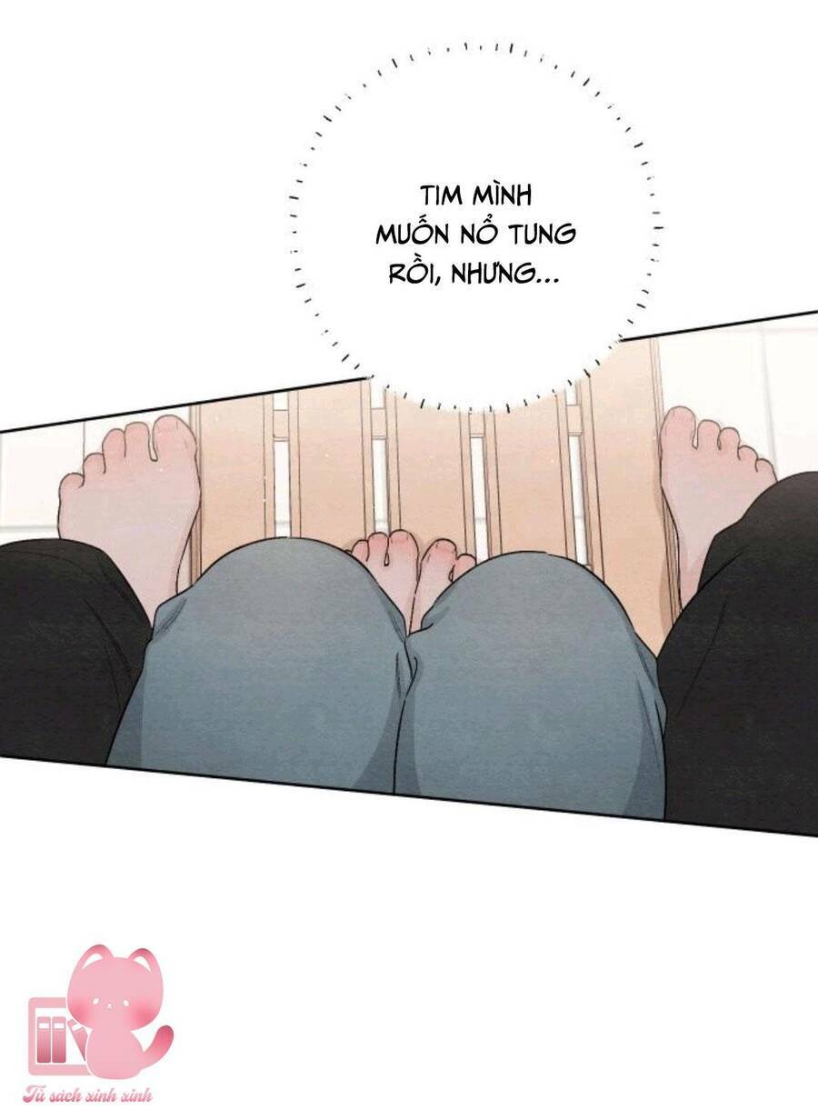Bí Mật Thanh Xuân: Chapter 19