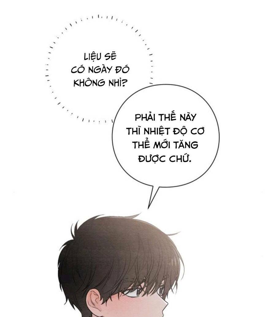 Bí Mật Thanh Xuân: Chapter 19