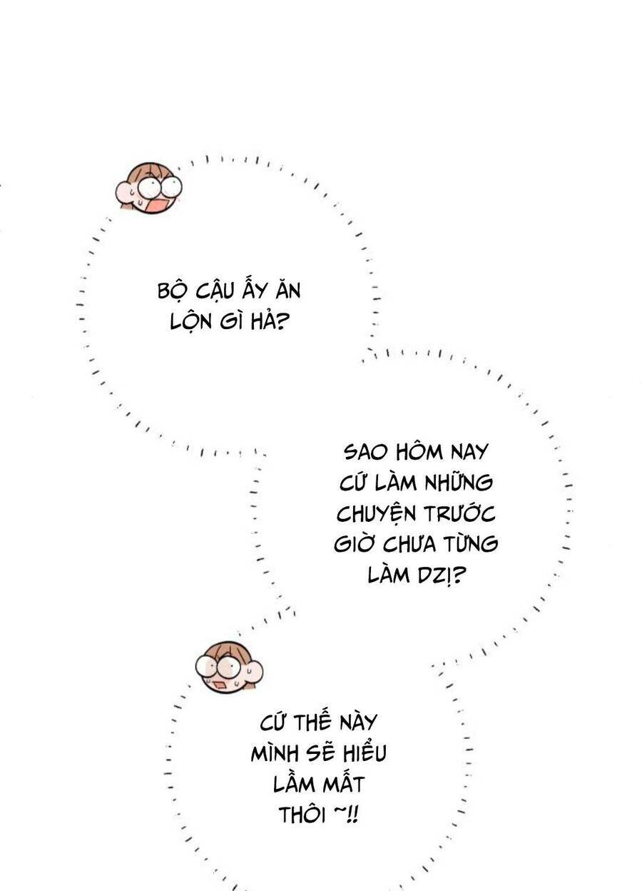 Bí Mật Thanh Xuân: Chapter 19
