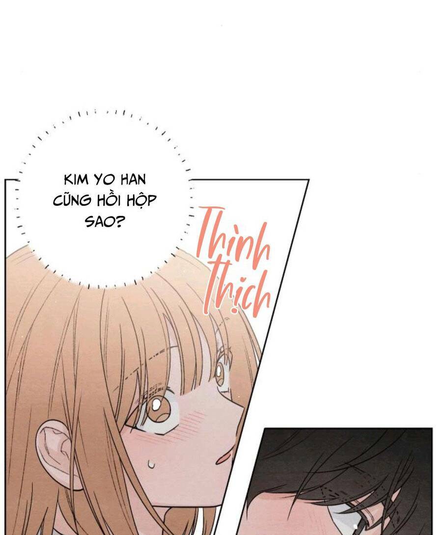 Bí Mật Thanh Xuân: Chapter 19