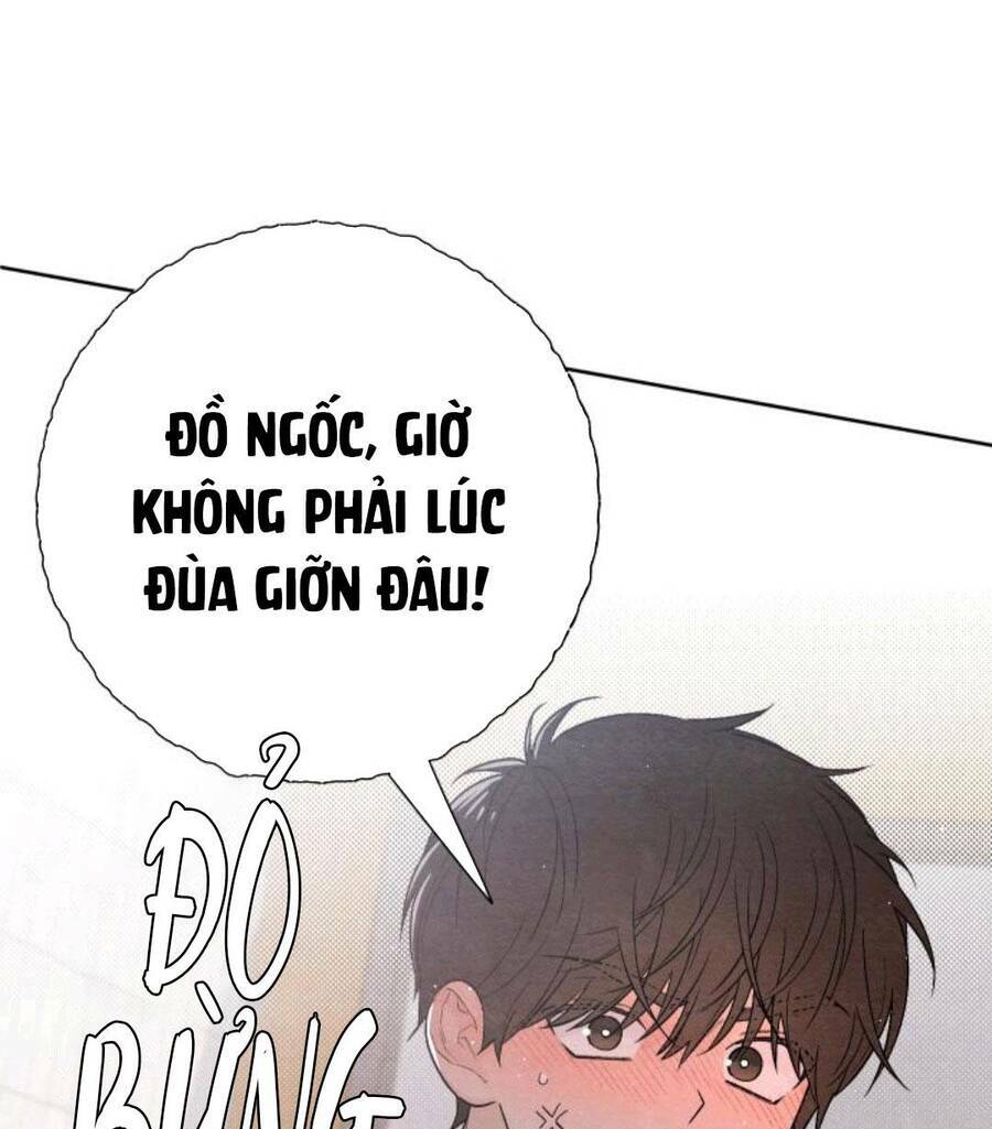 Bí Mật Thanh Xuân: Chapter 19