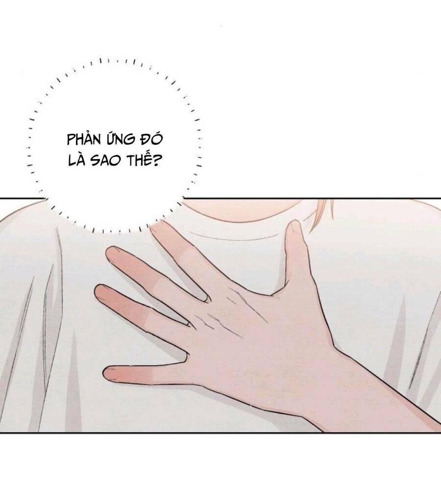 Bí Mật Thanh Xuân: Chapter 19