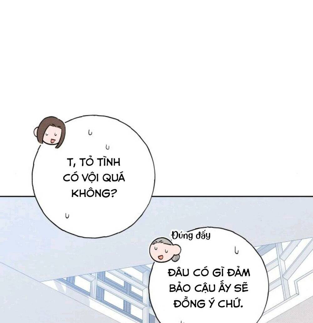 Bí Mật Thanh Xuân: Chapter 21