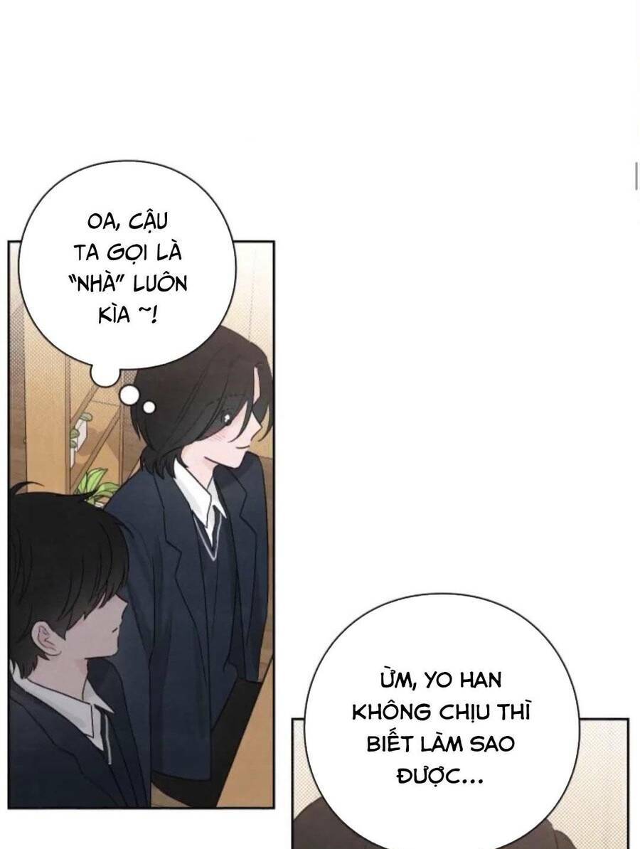 Bí Mật Thanh Xuân: Chapter 23