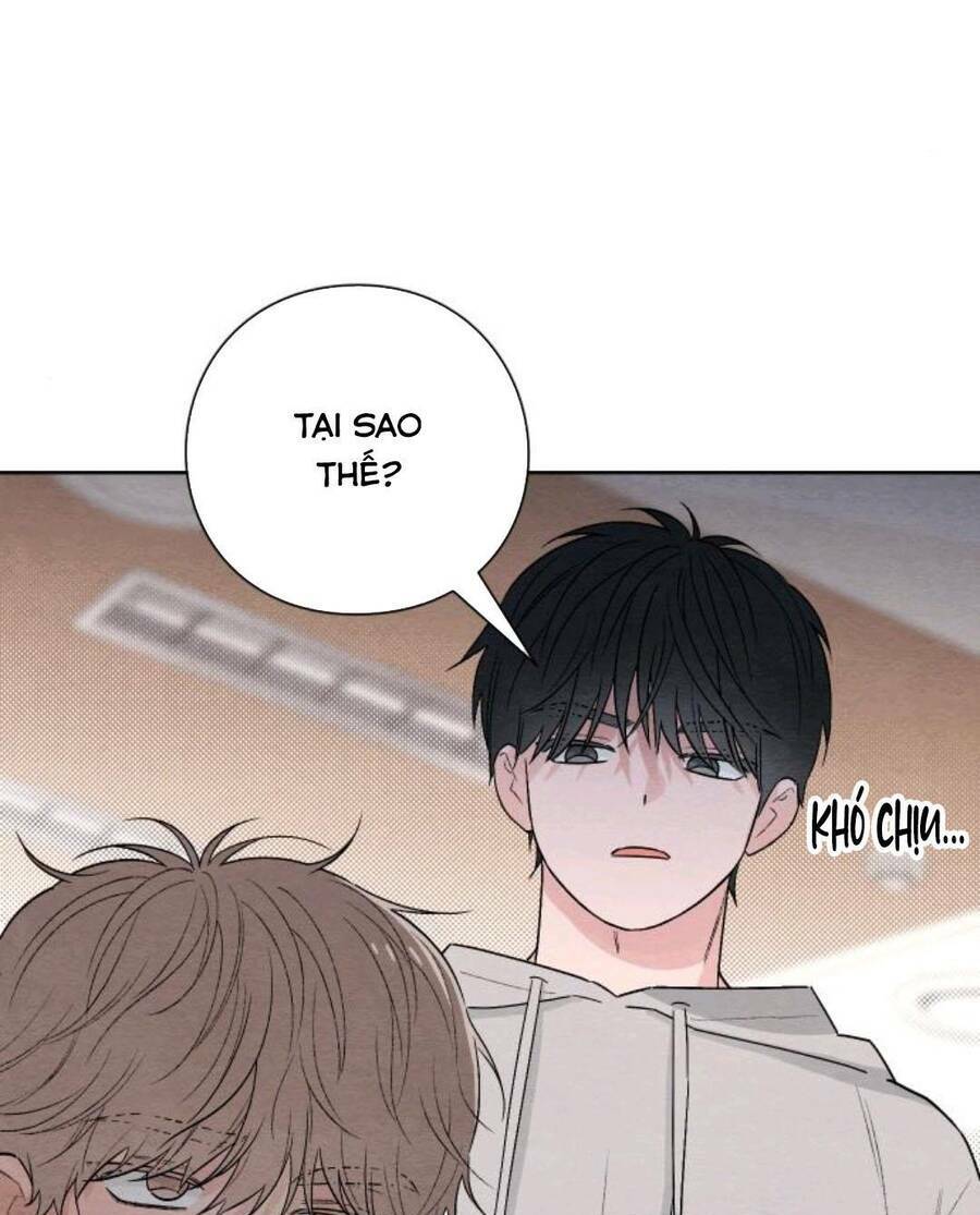 Bí Mật Thanh Xuân: Chapter 25