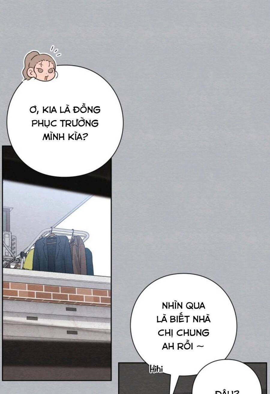 Bí Mật Thanh Xuân: Chapter 25