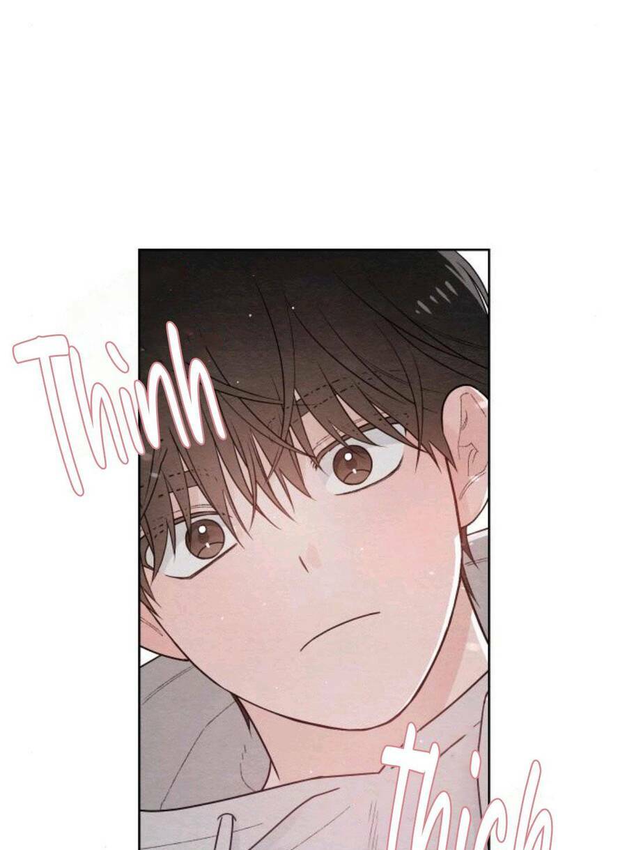 Bí Mật Thanh Xuân: Chapter 27