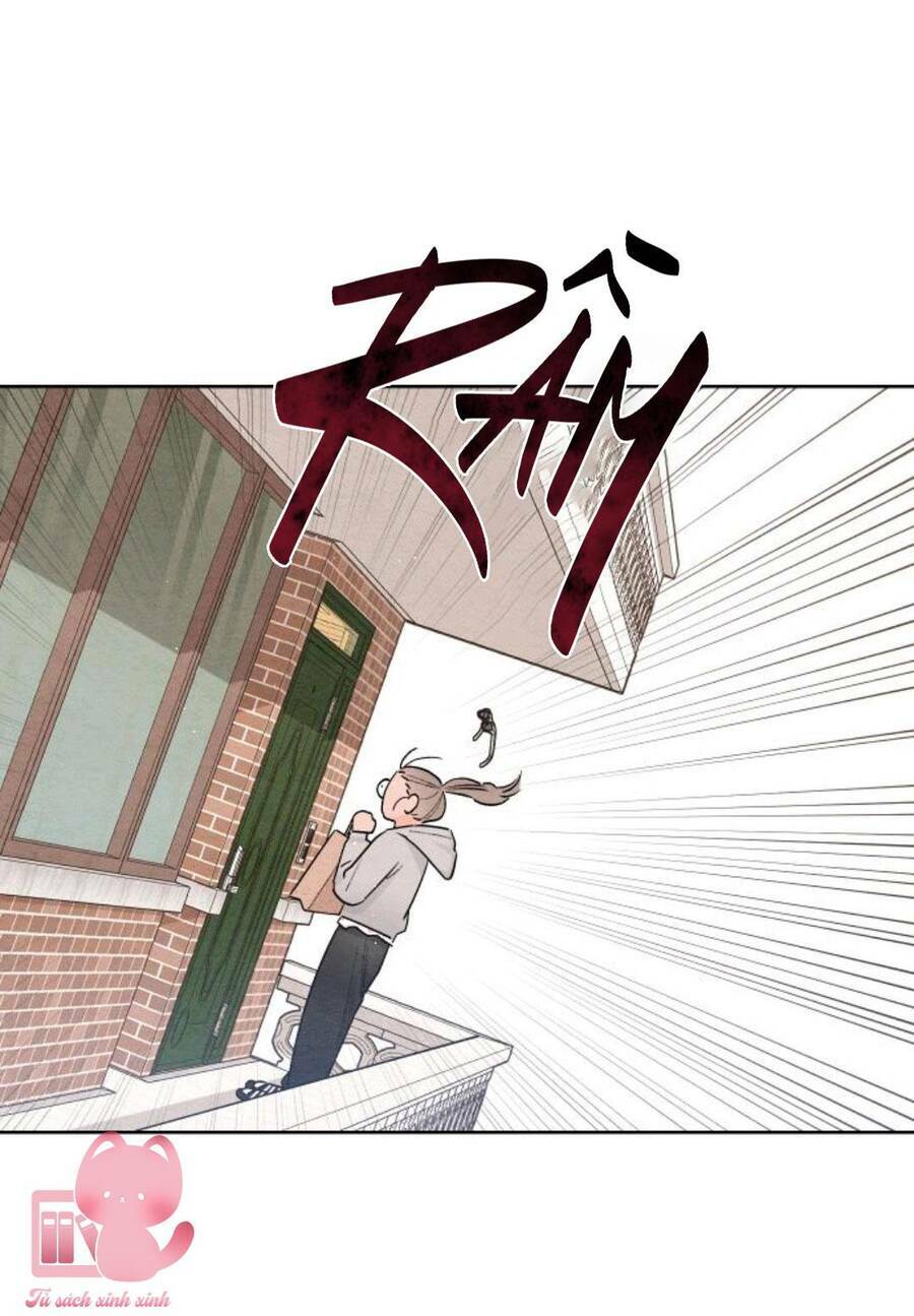 Bí Mật Thanh Xuân: Chapter 27