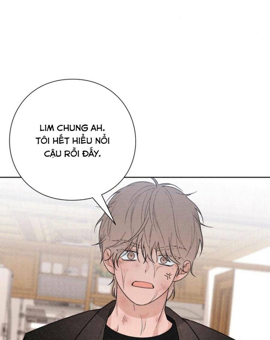 Bí Mật Thanh Xuân: Chapter 28
