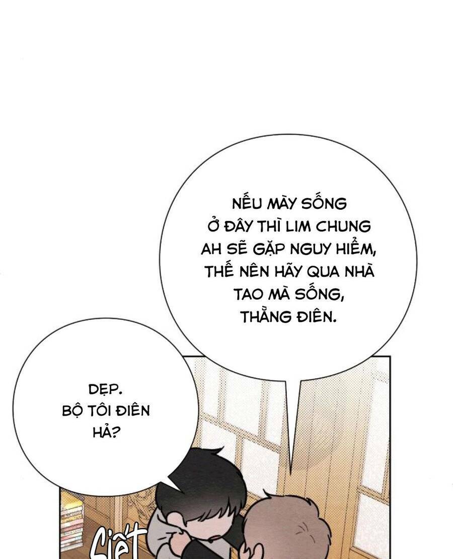 Bí Mật Thanh Xuân: Chapter 28