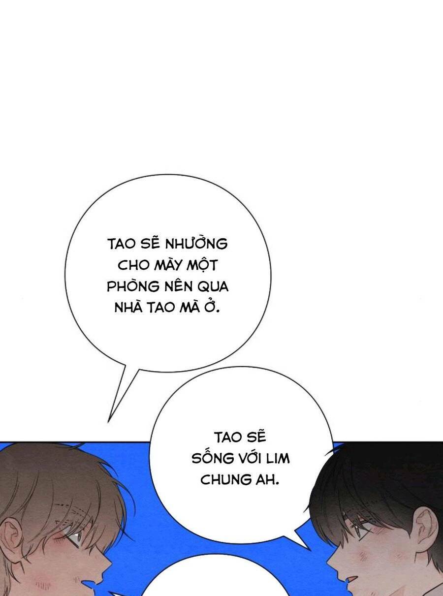 Bí Mật Thanh Xuân: Chapter 28