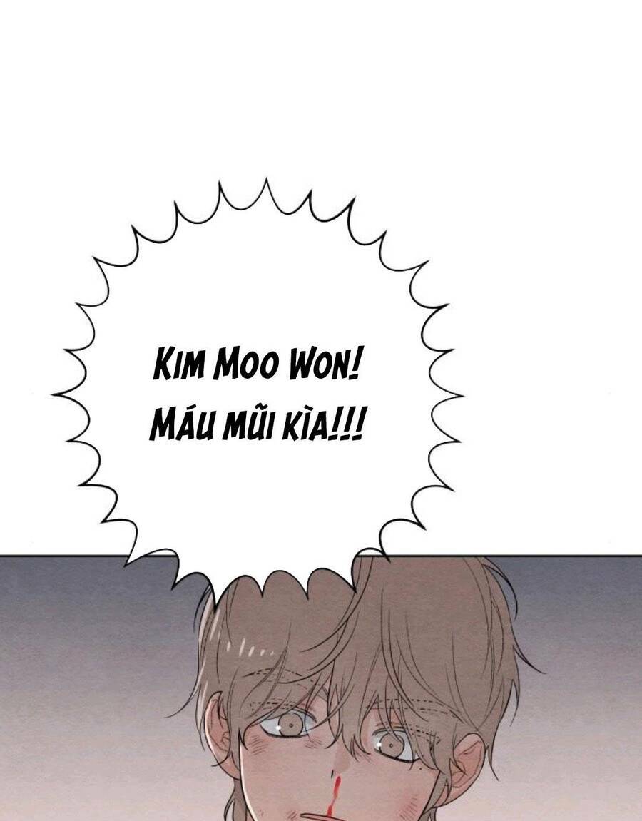 Bí Mật Thanh Xuân: Chapter 28