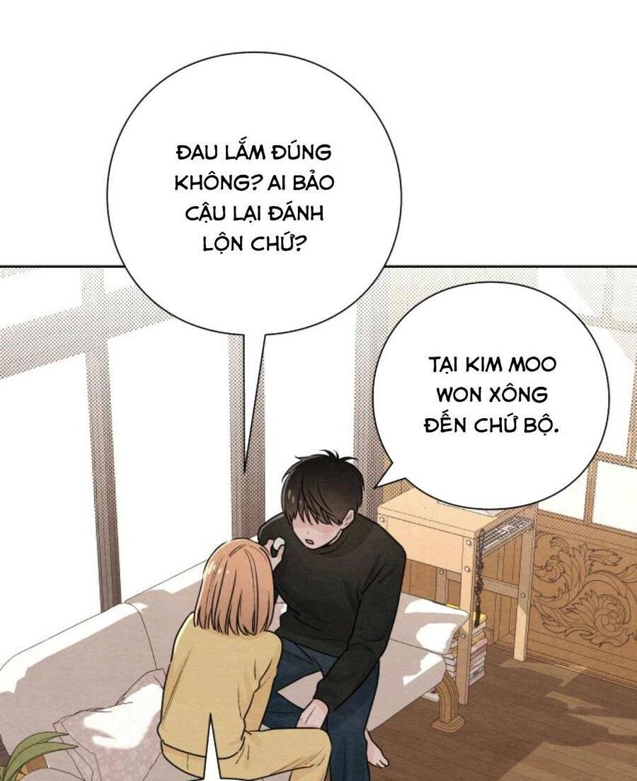 Bí Mật Thanh Xuân: Chapter 28