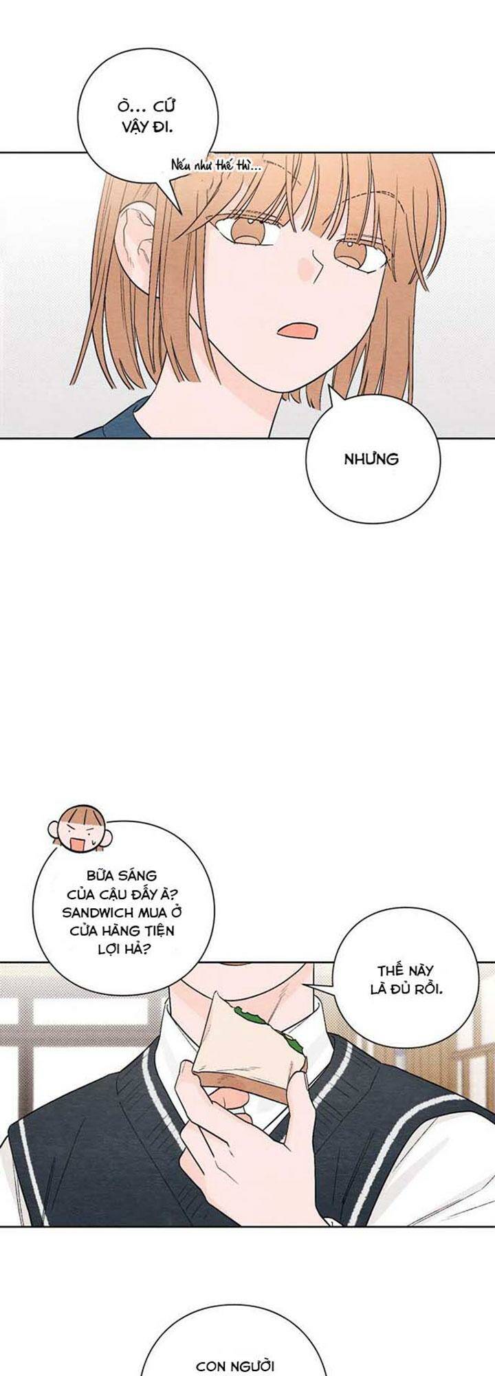 Bí Mật Thanh Xuân: Chapter 3