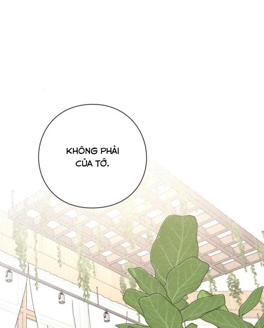 Bí Mật Thanh Xuân: Chapter 31