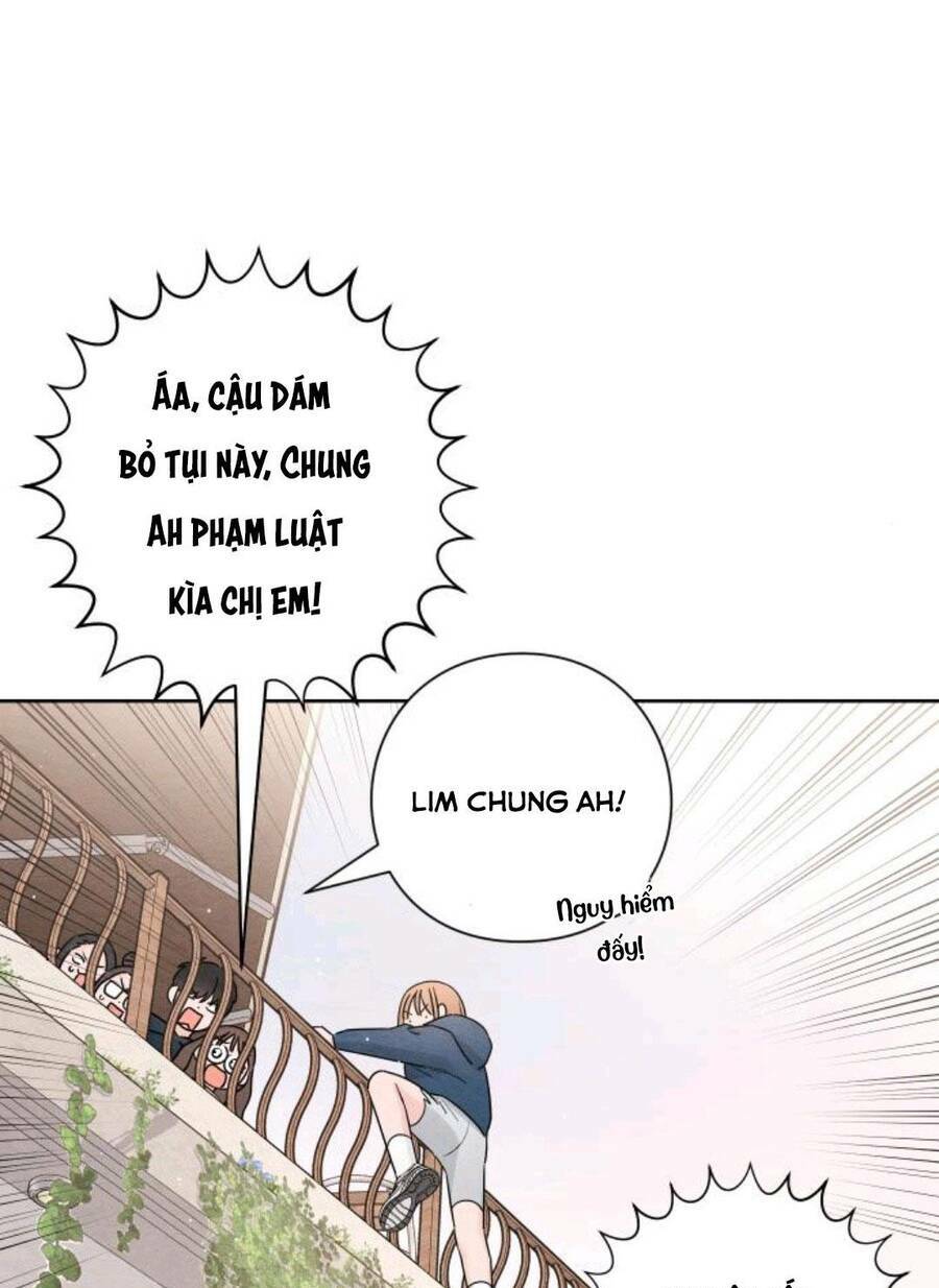 Bí Mật Thanh Xuân: Chapter 32