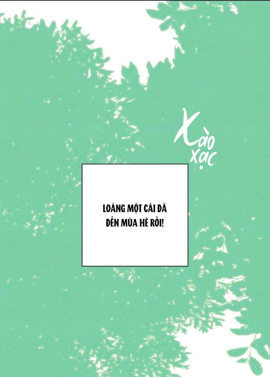 Bí Mật Thanh Xuân: Chapter 39