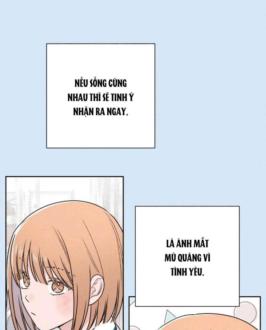 Bí Mật Thanh Xuân: Chapter 39