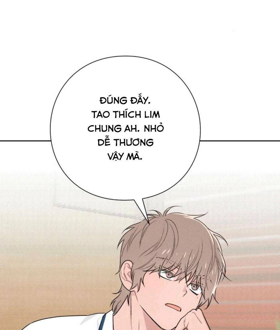 Bí Mật Thanh Xuân: Chapter 39