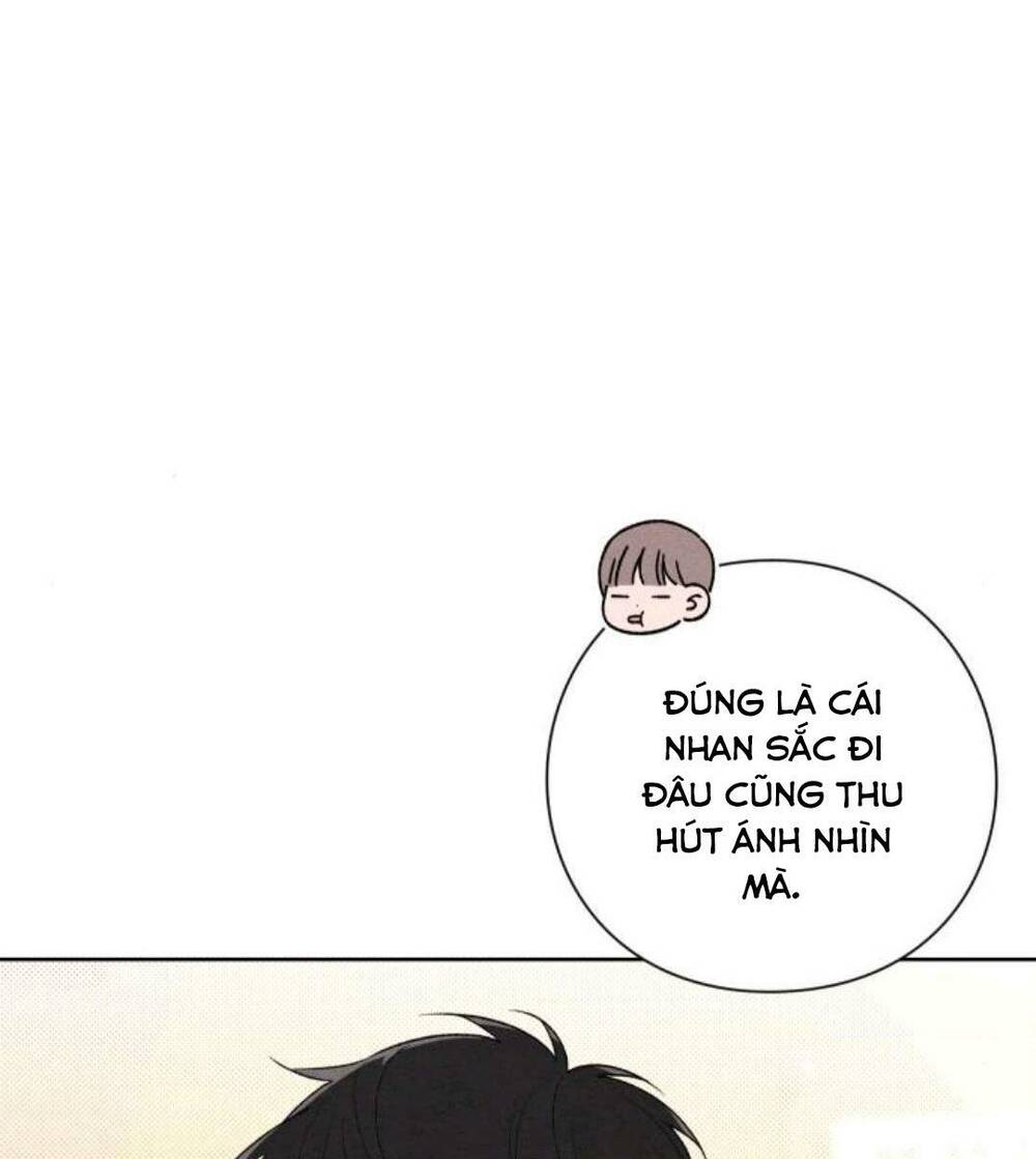 Bí Mật Thanh Xuân: Chapter 51