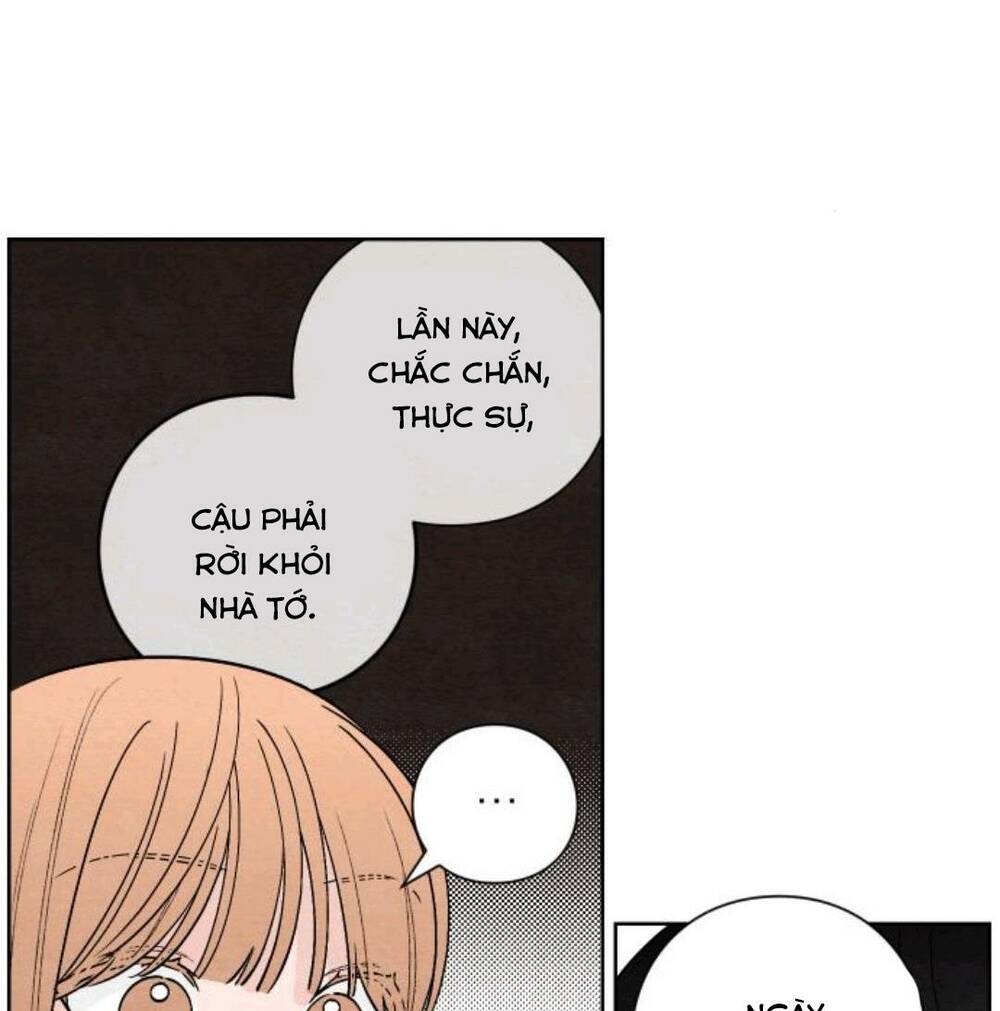Bí Mật Thanh Xuân: Chapter 9
