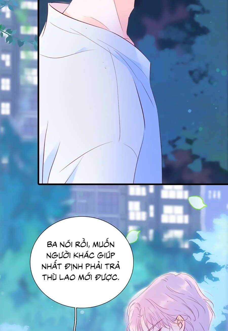 Hoa Bỏ Chạy Với Nhím Rồi: Chapter 4