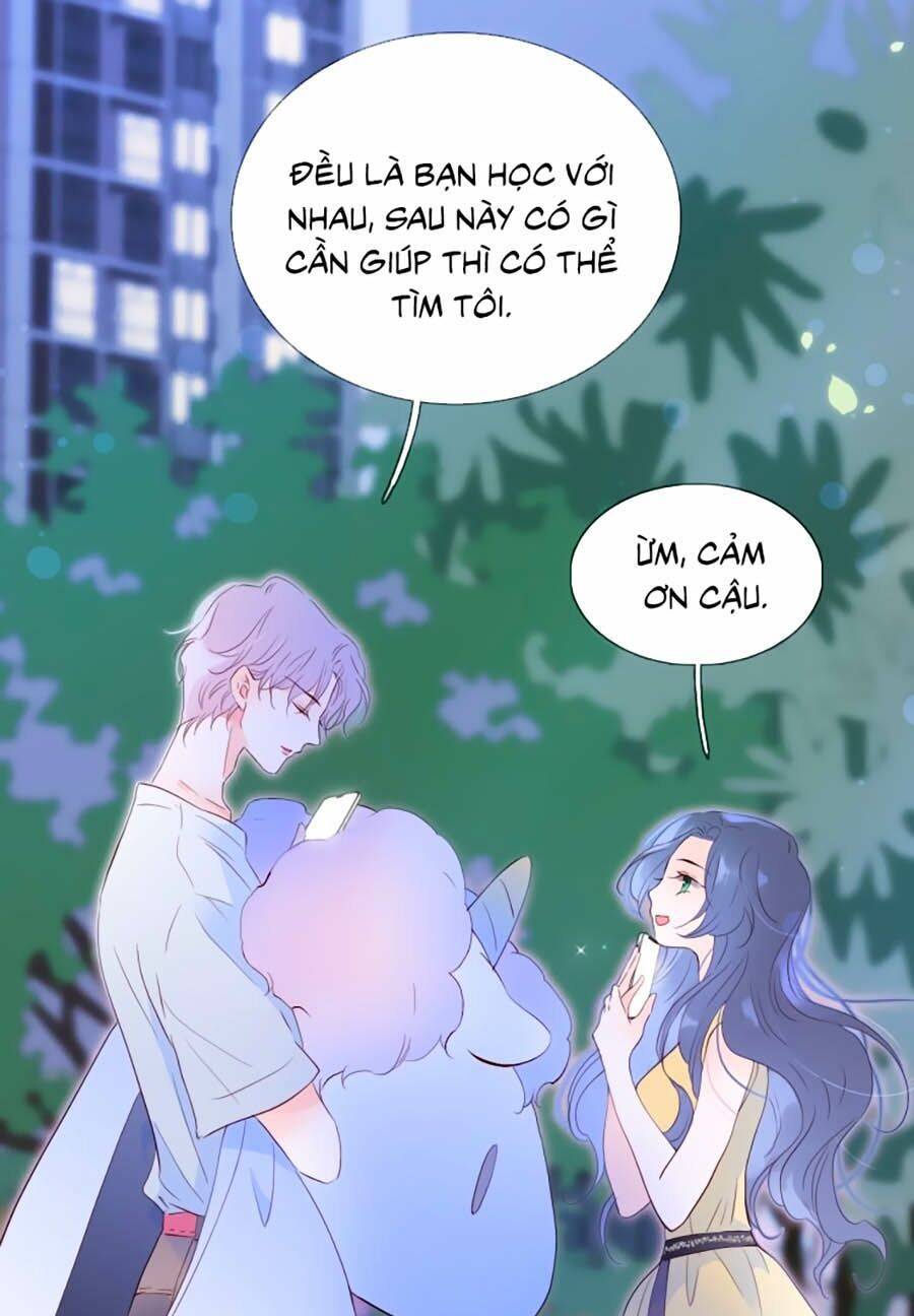 Hoa Bỏ Chạy Với Nhím Rồi: Chapter 4